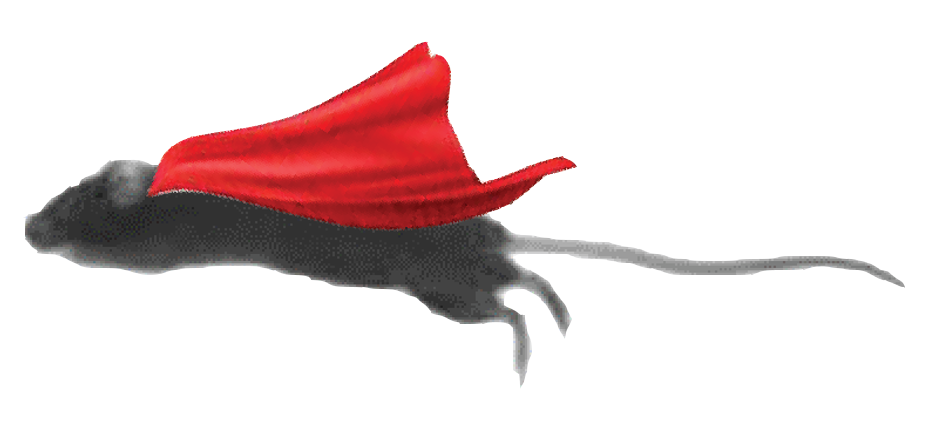 Parker Lab Logo - a mouse with a red cape